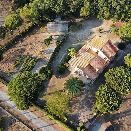 Corbezzolo Aranova