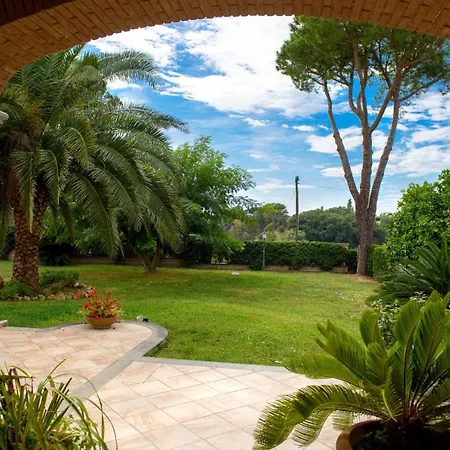 Corbezzolo * Aranova