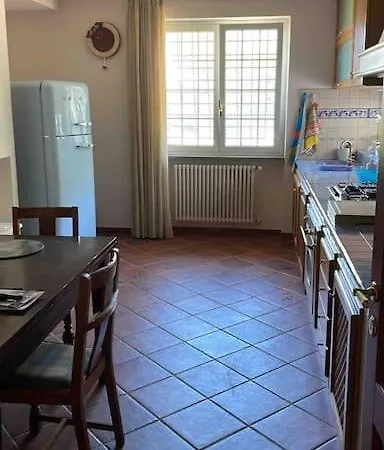 Corbezzolo